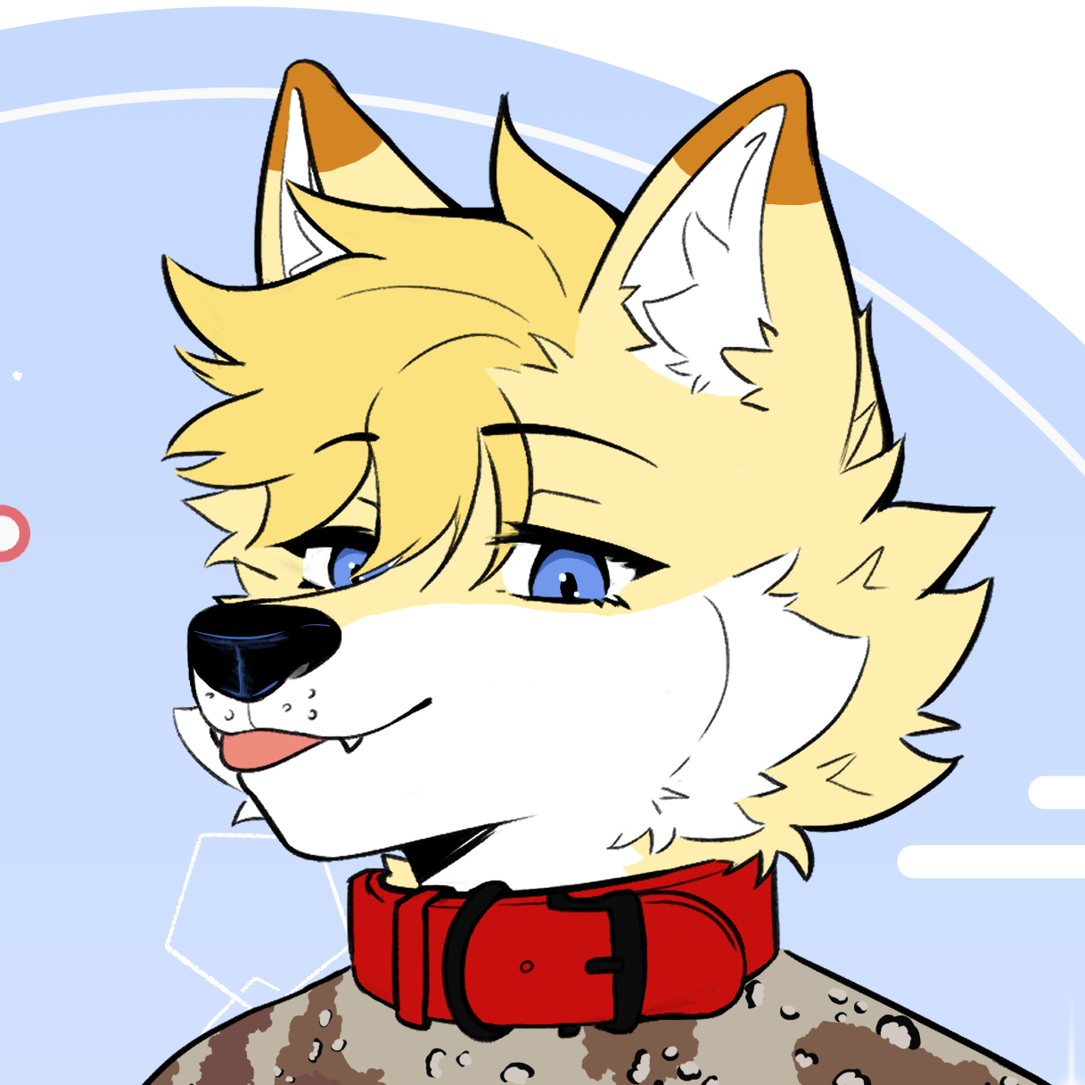 Aster Foxxo